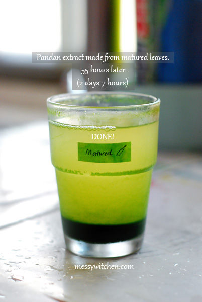 Pandan Extract Made From 10 Pieces Matured Pandan Leaves